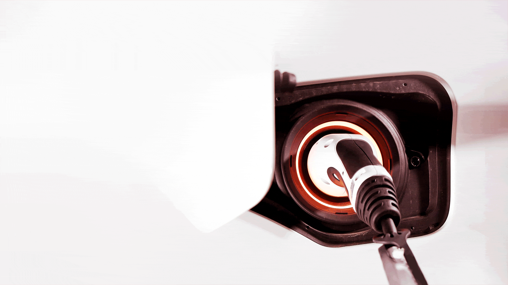 Revnet - sieć ładowania samochodów elektrycznych