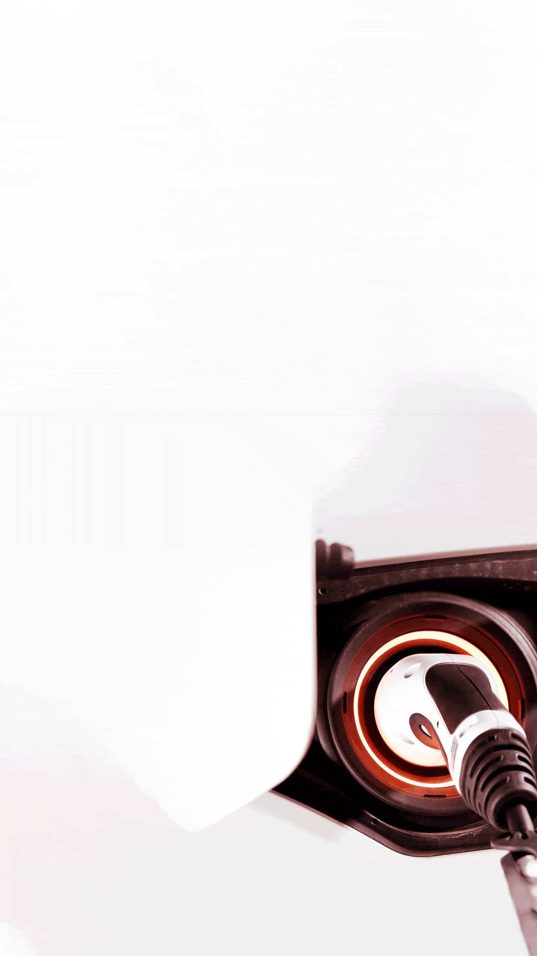 Revnet - sieć ładowania samochodów elektrycznych